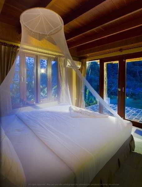 Cliff And River Jungle Hotel Surat Thani Exterior foto